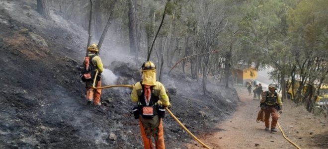 Radiografía del incendio forestal de Tenerife: un paraíso natural bañado por el fuego